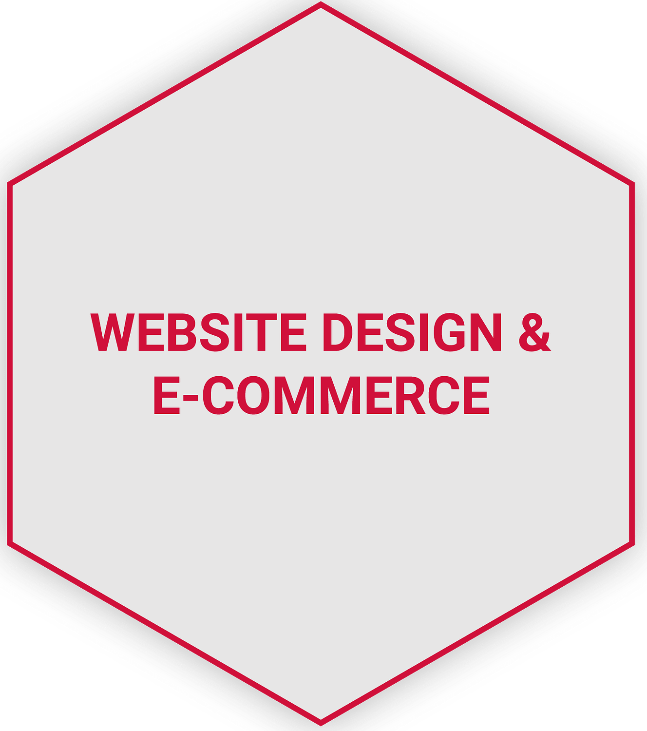 Websie Design & E-Commerce