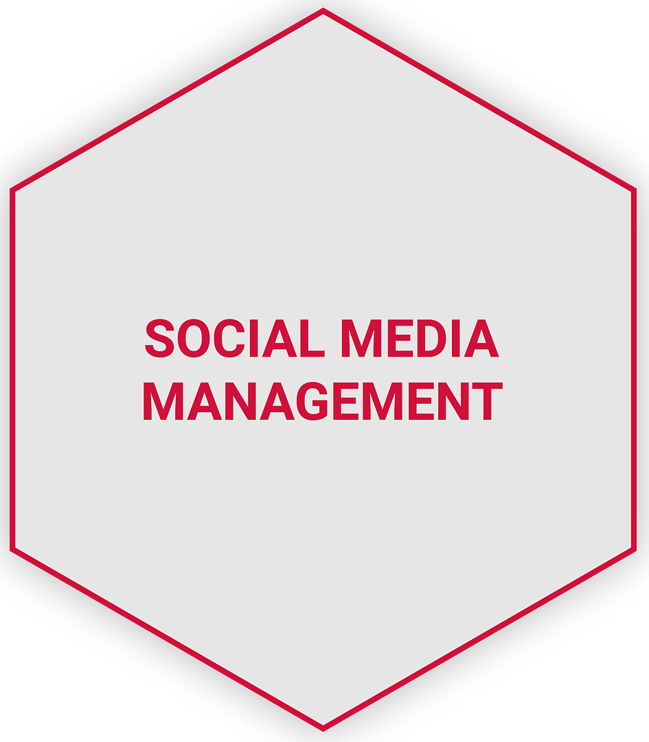 Social Media Management